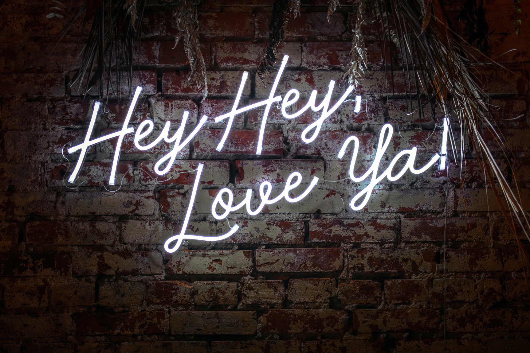 A Neon Sign on a Brick Wall